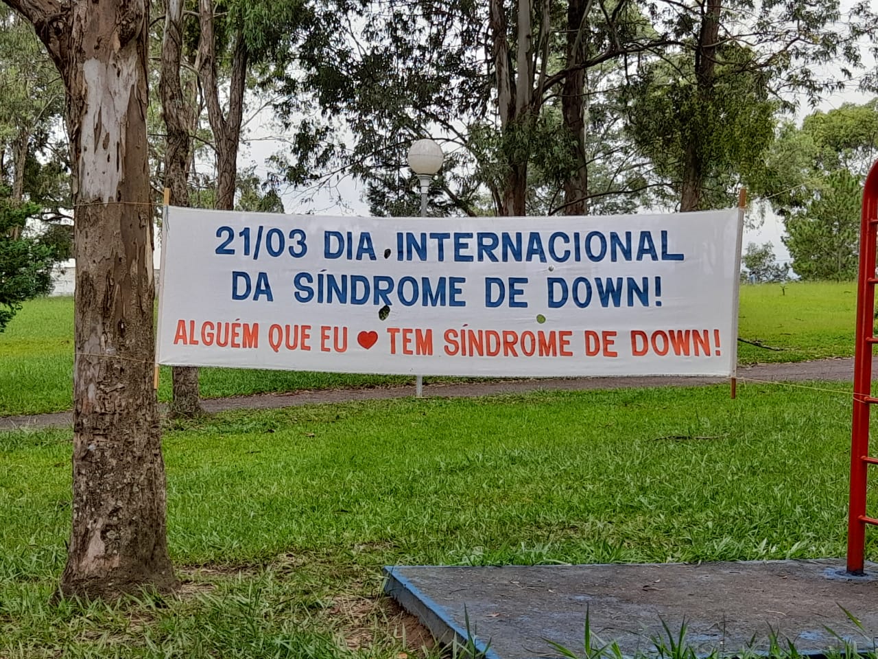 Foto de uma faixa escrita "Dia 21/03 Dia Internacional da Síndrome de Down. Alguém que eu amo tem síndrome de Down."